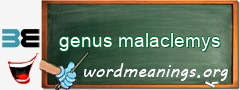 WordMeaning blackboard for genus malaclemys